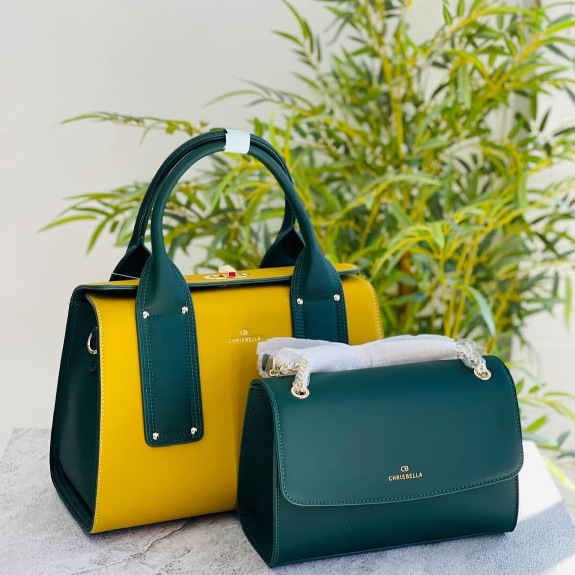 Two handbags, one yellow and one green, with a visible brand logo, placed on a light surface with plants in the background.