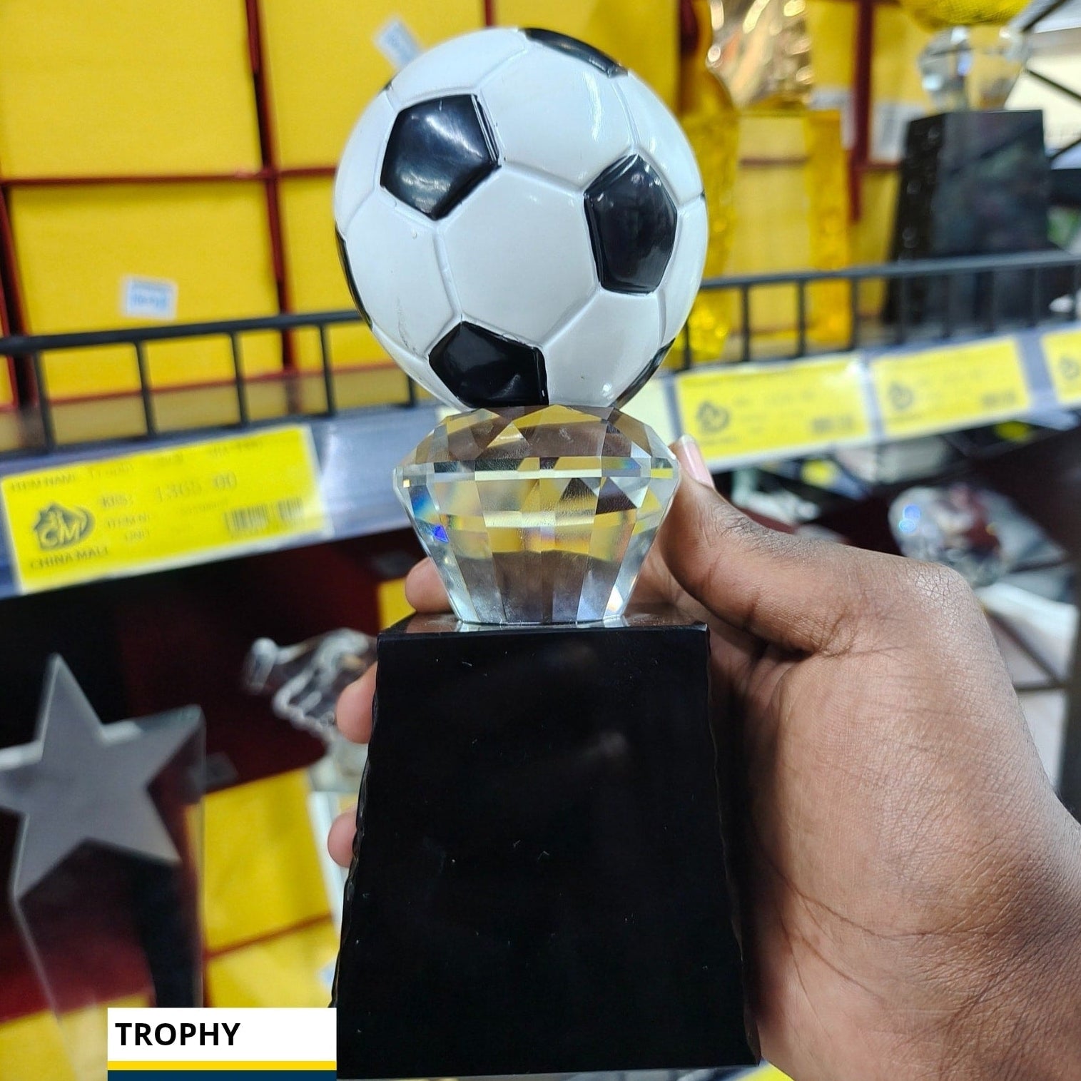 Crystal Soccer Ball Trophy