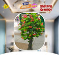 Decorative Artificial Cherry Fruit Tree Plant