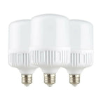 Lighting LED Bulbs
