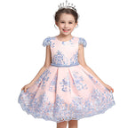 Disney Princess Dress