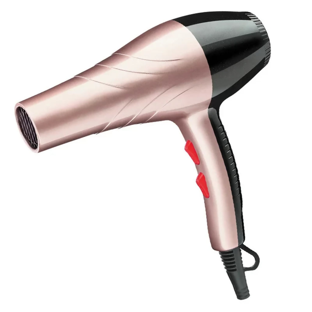 Titan Hairdryer Pro