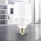 Lighting LED Bulbs