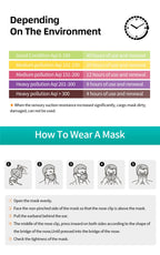 KN95/FFP2 Reusable Face Mask
