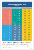 Blood Glucose Meter Kit
