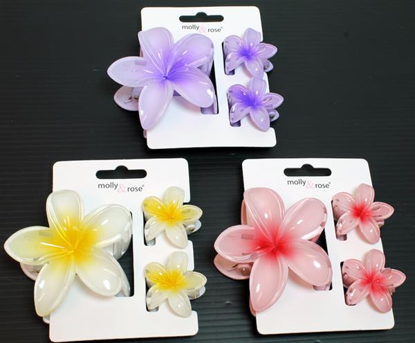 Hair Claw Set