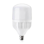 LED Light Bulb