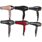 Titan Hairdryer Pro