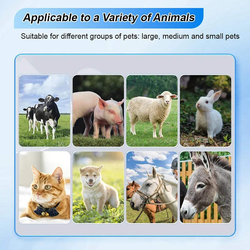 Resoxy 12.1 Digital Vital Signs Monitor