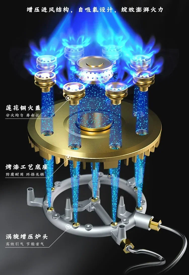 Portable Gas Stove.