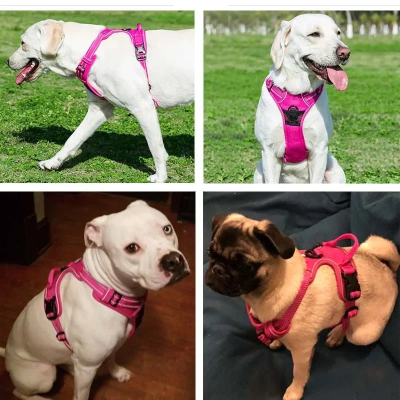 Pet Dog Harness