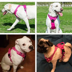 Pet Dog Harness