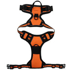 Pet Dog Harness