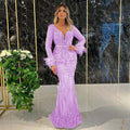 Silver Prom Dresses 2025 Women V-Neck Long Sleeves Feathers Evening Gowns Lace Applique Beaded  Sexy Mermaid Formal Party Dress