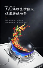 Portable Gas Stove.