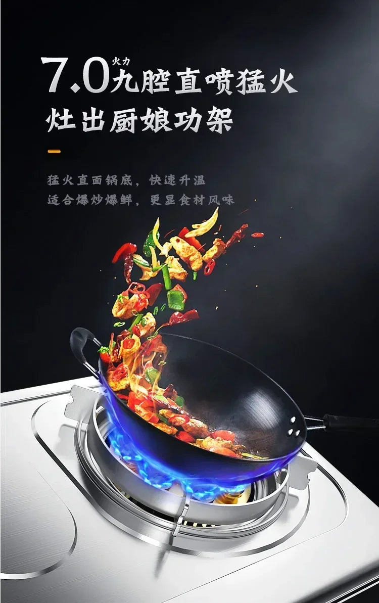 Portable Gas Stove.