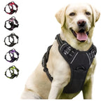 Dogs Front clip Harness