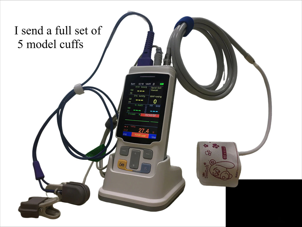 Modern Portable Vital Signs Monitor