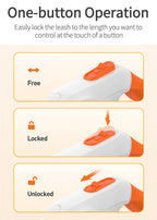 Dog Leash LED Luminous