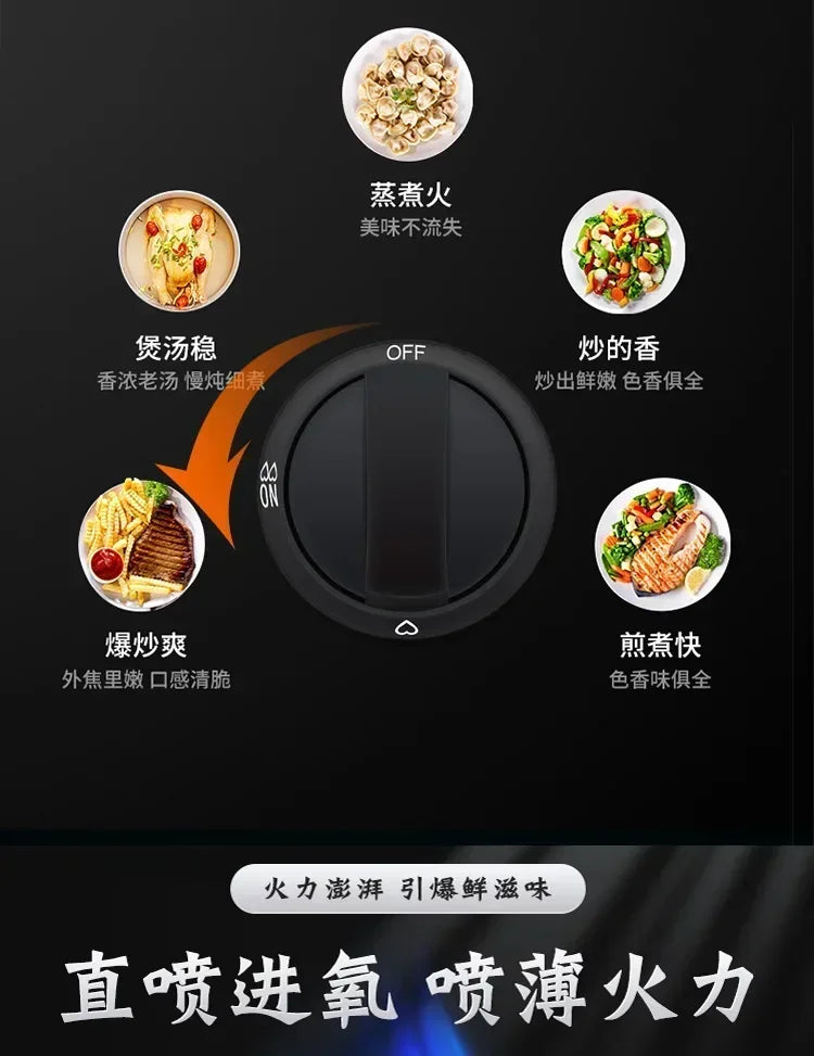 Portable Gas Stove.