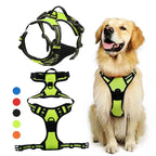 Pet Dog Harness