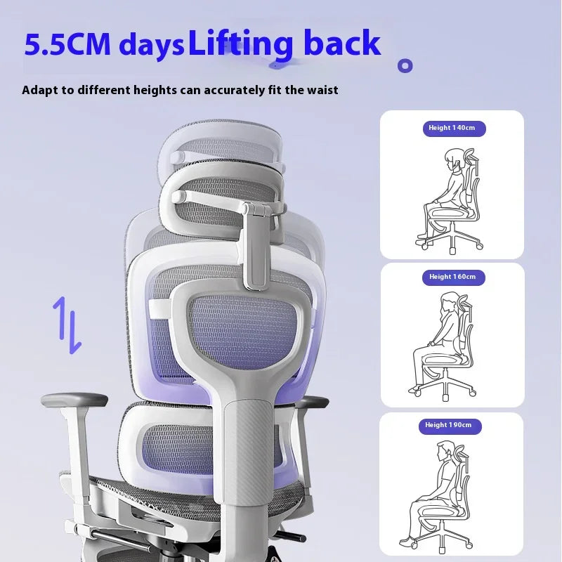 Foot Rest Chair Ergonomic Gaming Chairs Computer Comfortable Wheels Massage Adjustable Sedia Da Ufficio Office Furniture
