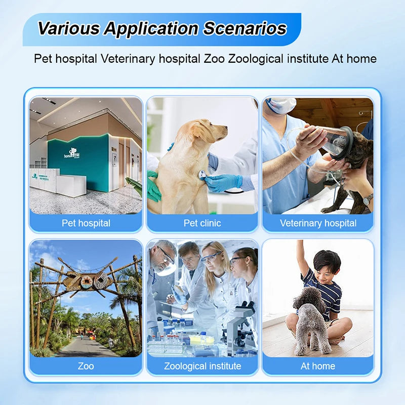 Resoxy 12.1 Digital Vital Signs Monitor