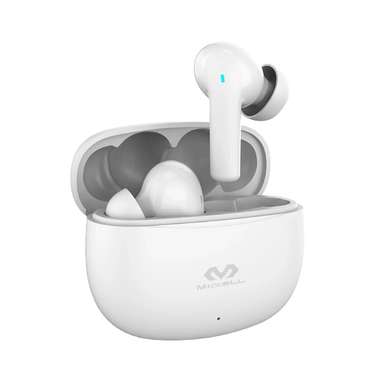 TWS Earbuds