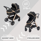 Accombe 2-in-1 Baby Stroller