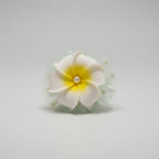 Floral hair clip with white and yellow flower on a reflective surface