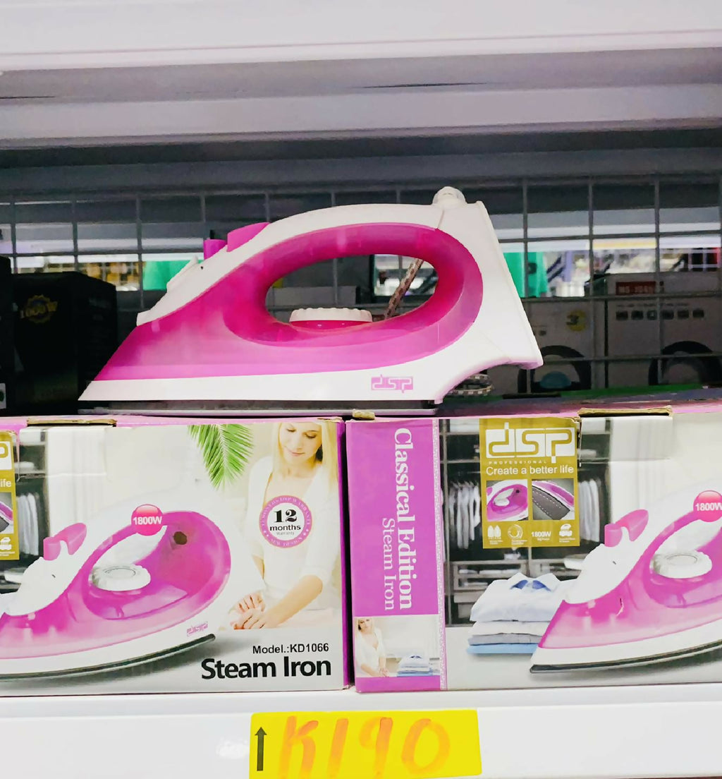Electric Steam Iron