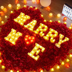 LED Marquee Alphabet Letters