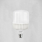 LED Light Bulb