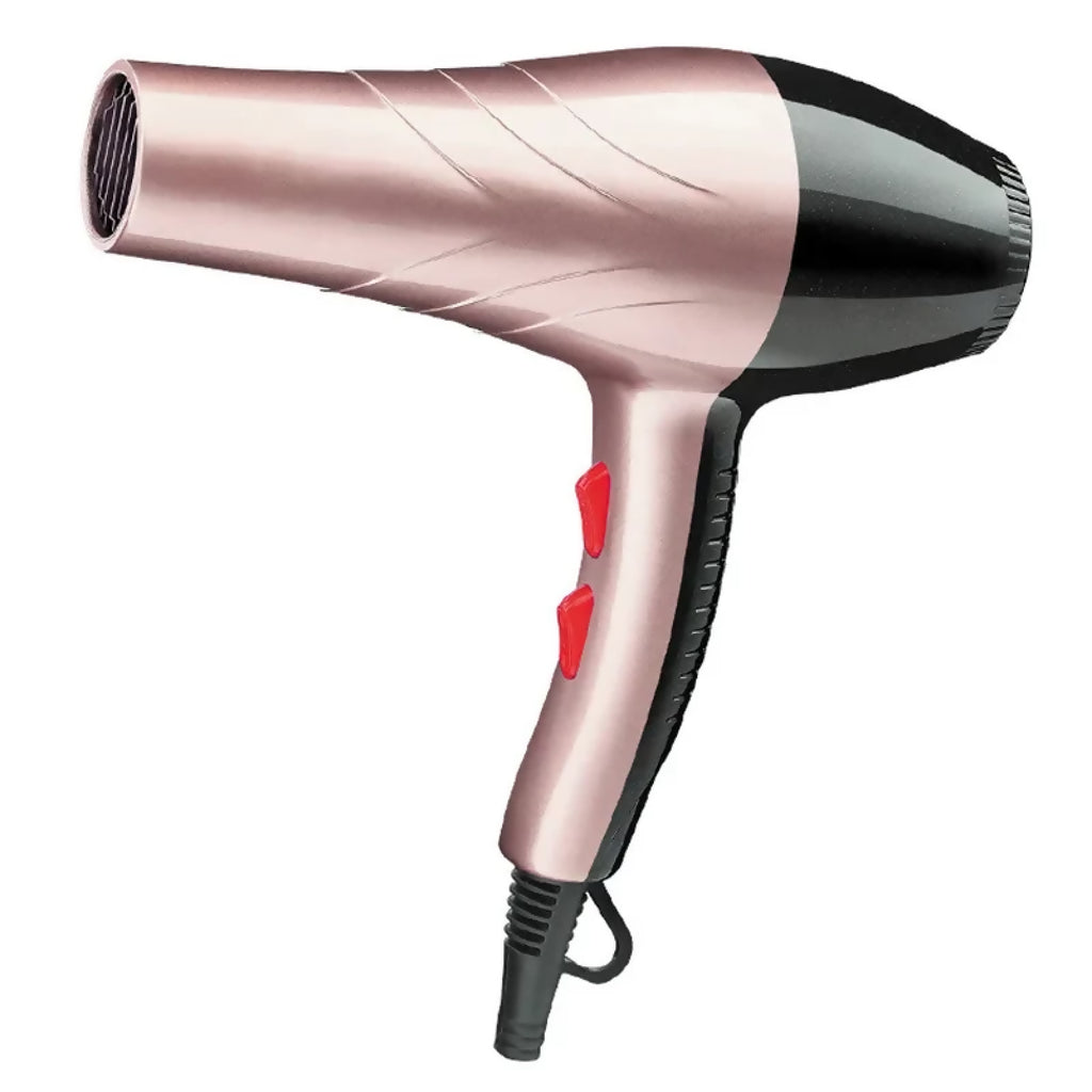 Titan Hairdryer Pro