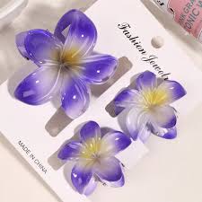 Hair Claw Set