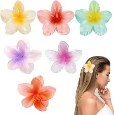 Hair Claw Set