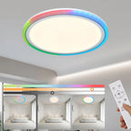 Flush Mount LED
