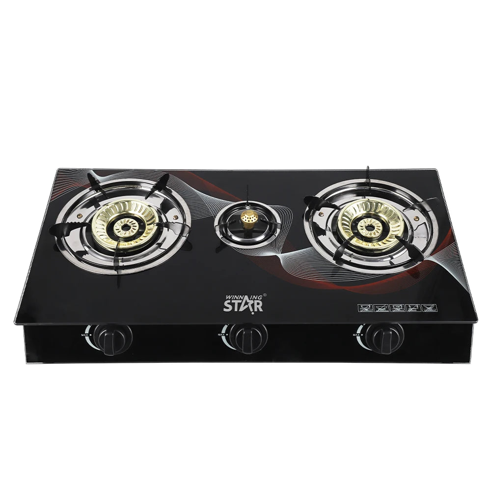 Two-Burner Gas Stove