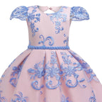 Disney Princess Dress