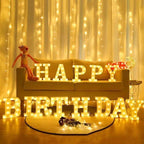 LED Letter Lights