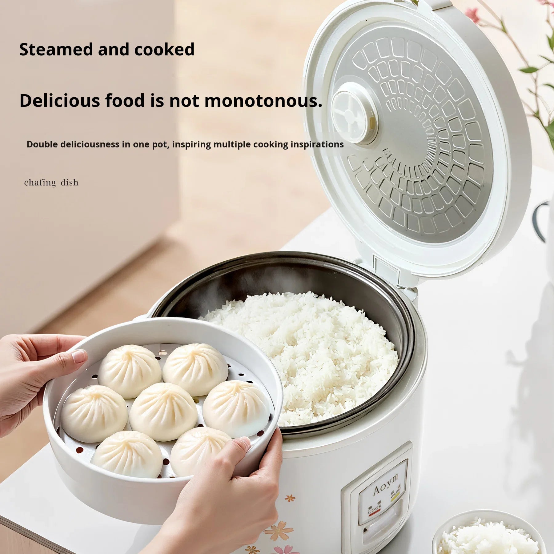 Premium Rice Cooker