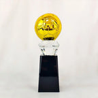 Crystal Basketball Awaerd