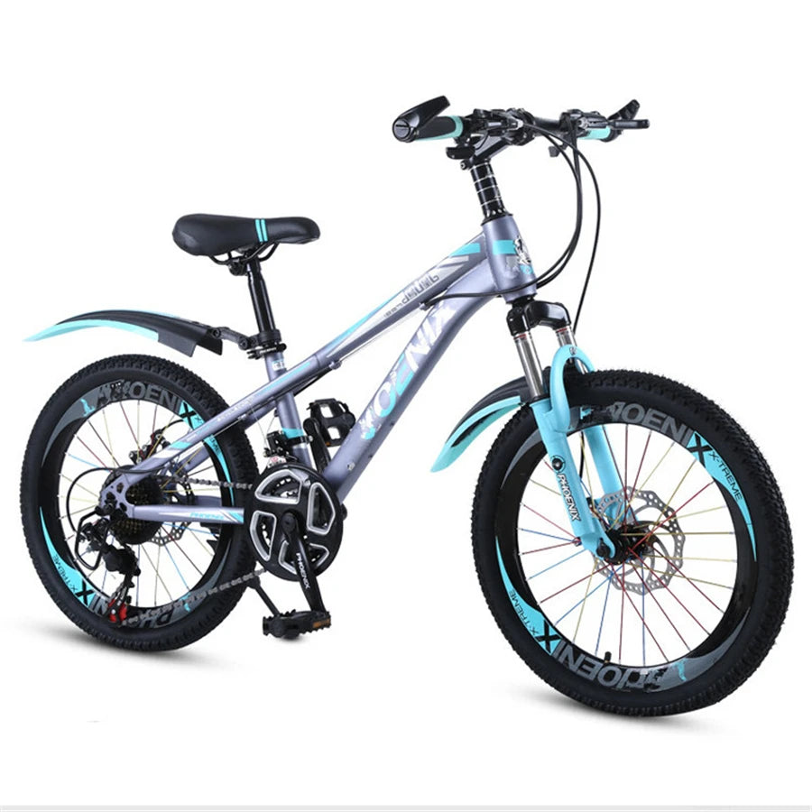 20-Inch Carbon Rim Mountain Bike