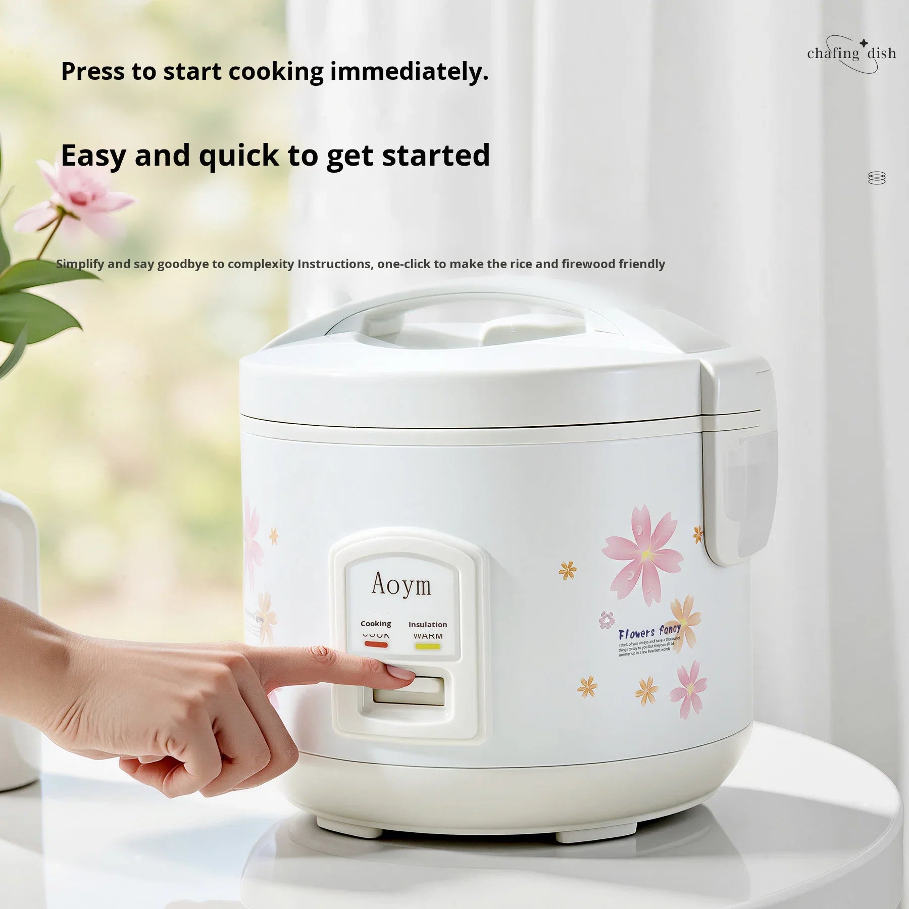 Premium Rice Cooker