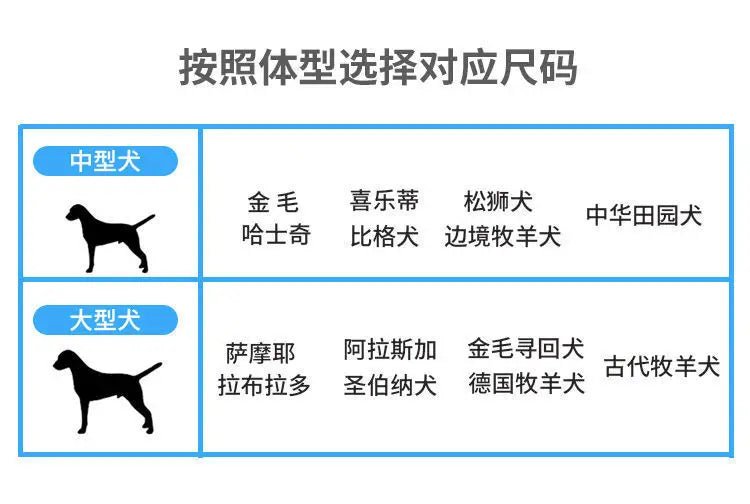 Pet Toy - Yanabuy Marketplace