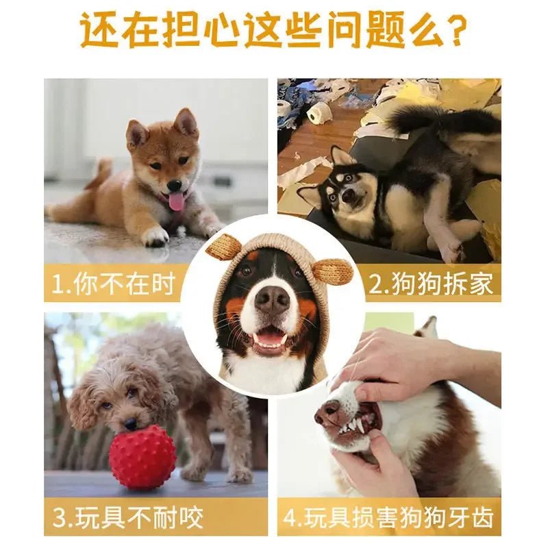 Pet Toy - Yanabuy Marketplace