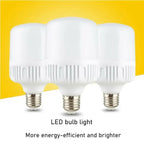 Lighting LED Bulbs