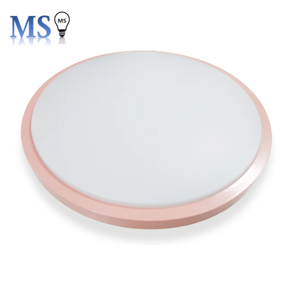 Flush Mount LED