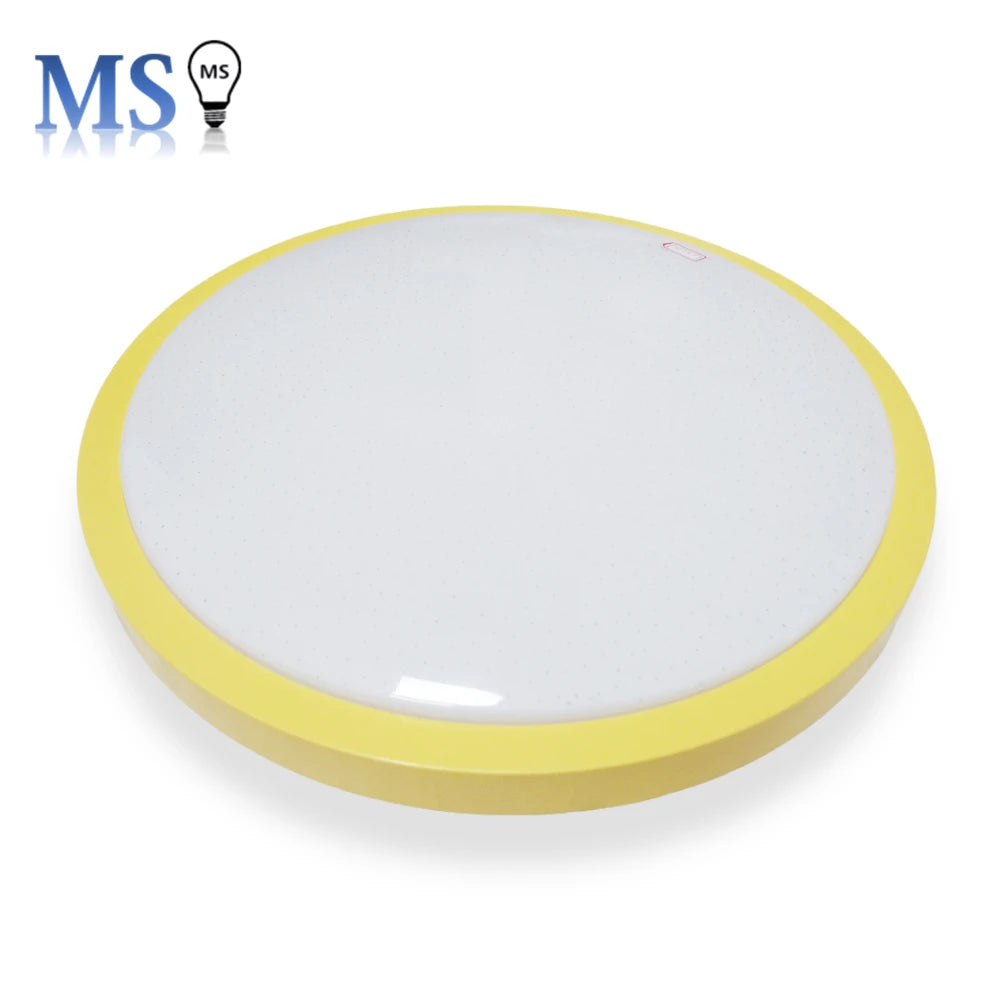 Flush Mount LED