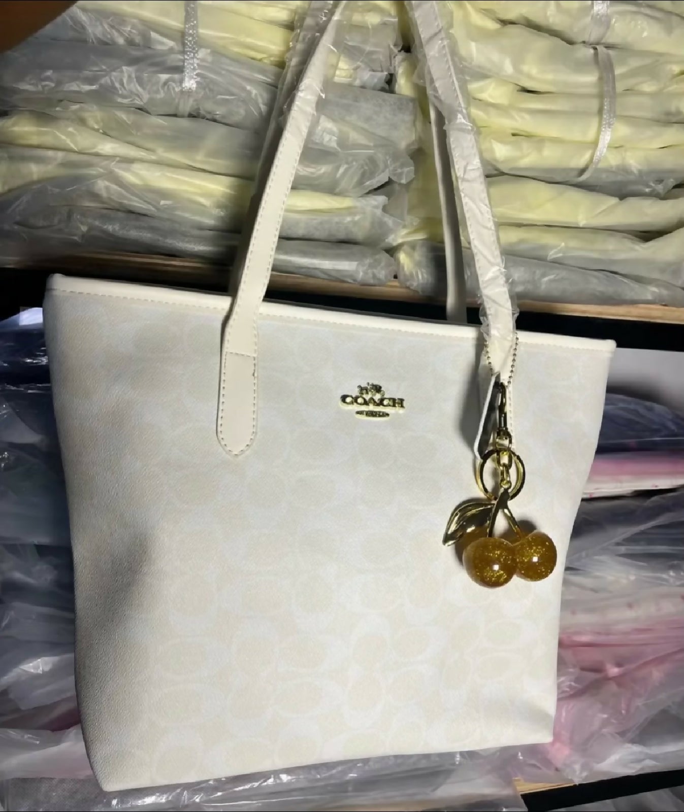 Coach bag